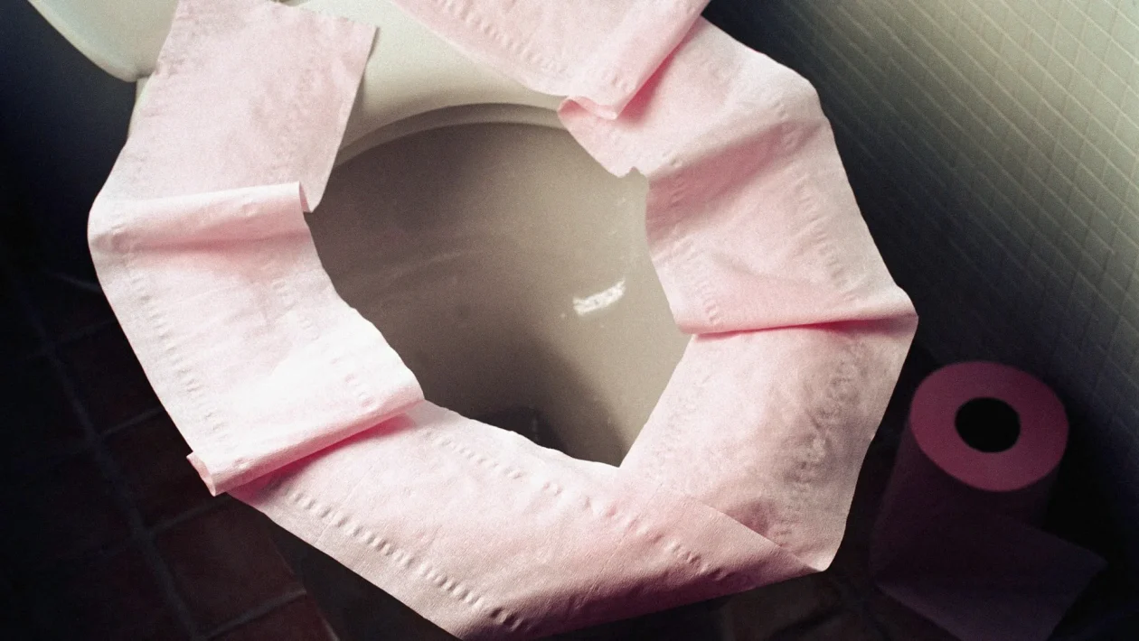 toilet