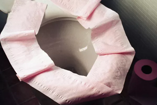 toilet
